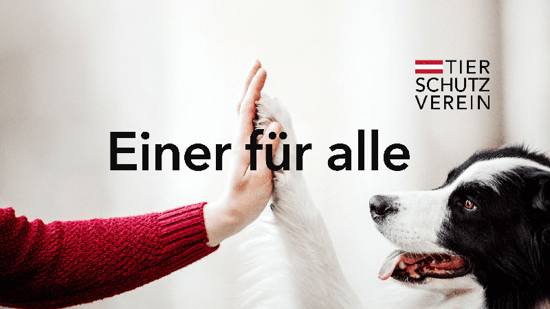Foto-Tierschutzverein Österreich